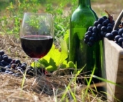 Ultimele pregatiri pentru festivalul vinului de la Timisoara. Vezi programul complet al manifestarilor