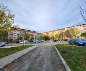 În campania de plantări s-au sădit peste 800 de arbori și arbuști și peste 175.000 de flori