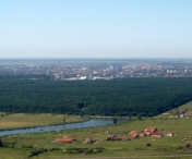 Ministerul Mediului trebuie sa intregeasca Padurea Verde din Timisoara. Iata solicitarea autoritatilor