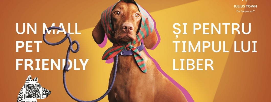 Experiențe pentru întreaga familie, inclusiv pentru căței. Iulius Town a devenit pet friendly