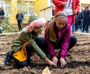Elevii au plantat bulbi de brandusa galbena, in memoria copiilor ucisi in timpul Holocaustului