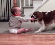 VIDEO ADORABIL! Iata cum se joaca acest bebelus cu cainele. Nu te mai saturi sa-i privesti