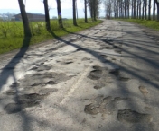 Vesti bune pentru soferi! Drumul care leaga Timisoara de Moravita va fi reabilitat