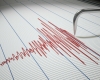 Un cutremur cu magnitudinea de 2,4 a avut loc joi dimineața în Gorj