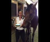 VIDEO FABULOS - Reactia uluitoare a acestui cal dupa ce stapana ii canta "La Multi Ani"