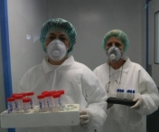 Gripa porcina face prima victima in Romania