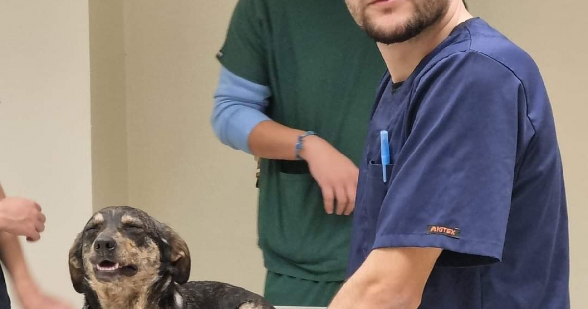 Studentul din Bustuchin, diagnosticat cu o boala grava, a murit de Craciun