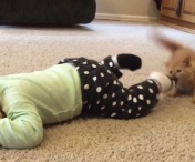 VIDEO - Bebelusul sta intins pe podea, iar pisoiul vine si trage de papucel. Urmarea e fabuloasa!