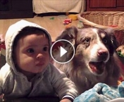 VIDEO SUPERB - Mamica isi roaga copilasul sa spuna "Mama"... Dar priviti ce face cainele dupa