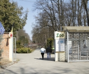 Gradina zoologica din Timișoara s-ar putea redeschide in 2023