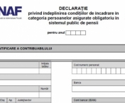 Declaratia Unica de venituri - cine si cum trebuie sa completeze noul formular pentru ANAF. Ce formulare vor disparea in urma comasarii actelor fiscale