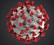 Aproape cinci mii de noi cazuri de coronavirus la nivel naţional, in ultimele 24 de ore