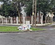 15.000 de lei amendă pentru o persoană din Timișoara care a abandonat deșeuri pe Bulevardul C.D. Loga 