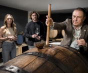 Vinuri de colecție și puterea regiunii: Bordeaux, Toscana, Napa