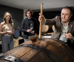 Vinuri de colecție și puterea regiunii: Bordeaux, Toscana, Napa