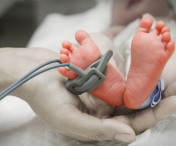 TRAGEDIE intr-un spital Suceava! Doi bebelusi au murit din cauza unei bacterii