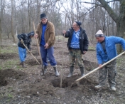 Sute de voluntari au plantat pomi in judetul Timis