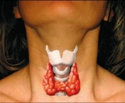 Analize medicale care se fac pentru a depista afectiunile tiroidei