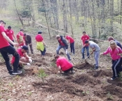 Direcția Silvică Timiș a început campania împăduririlor de primăvară