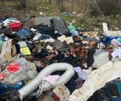  Primăria Timișoara a cheltuit un milion de euro pentru a aduna gunoiul aruncat ilegal pe domeniul public din oraș 