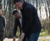 Presedintele Iohannis a plantat un puiet de Ziua Nationala a Padurii