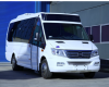 Consiliul Județean Timiș va achiziționa 24 de microbuze electrice 16+1 pentru transport școlar